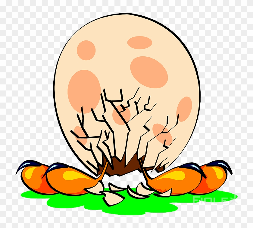 Eggshell #334910