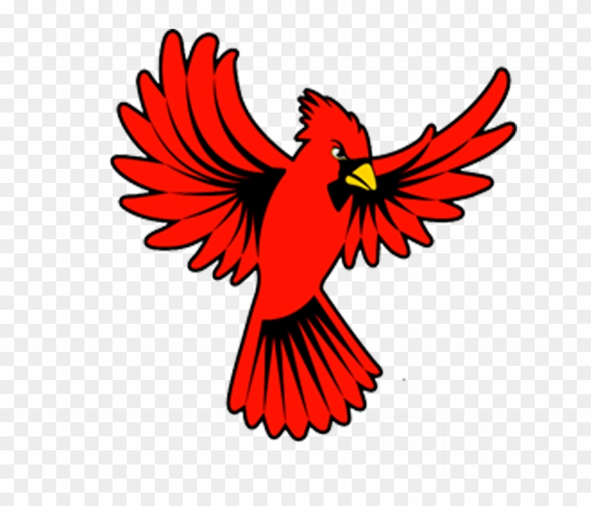 Cardinal - School #334977
