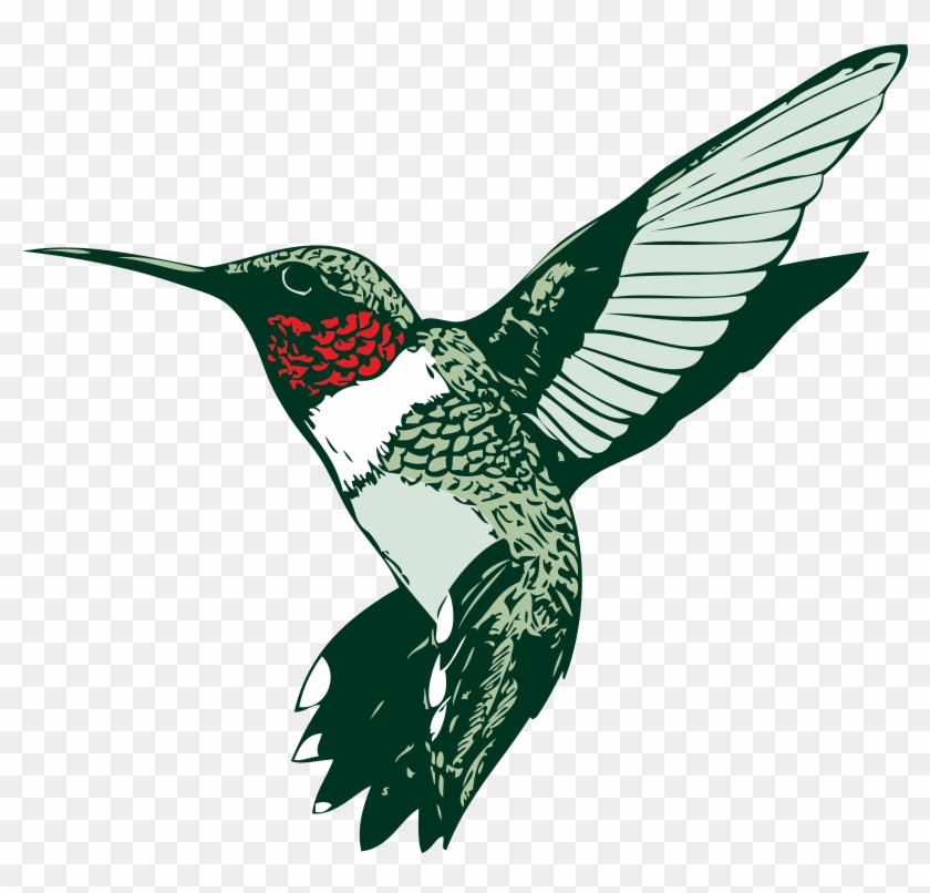 Attractive Design Hummingbird Clipart Images For Clip - Humming Bird Clip Art #335037