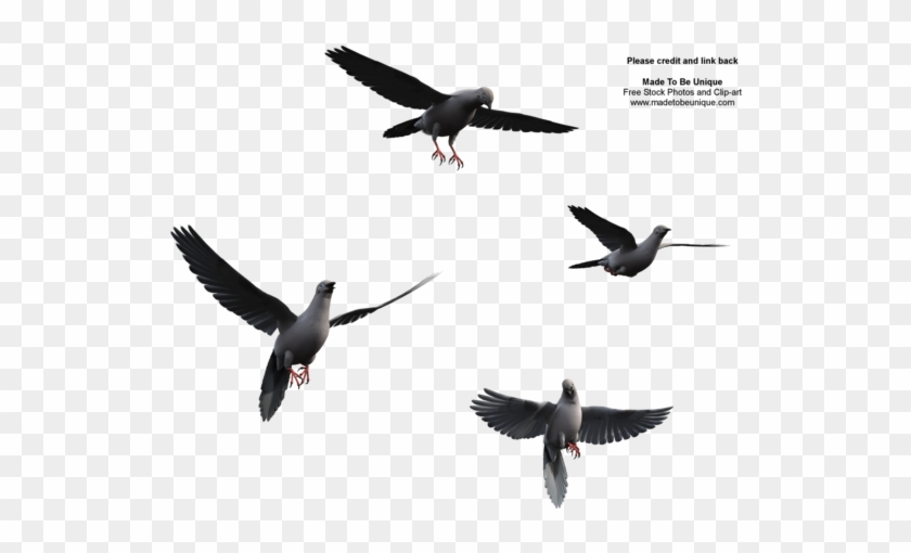 Flying Bird Poses Dove Wings By Madetobeunique On Clipart - Flock #335065