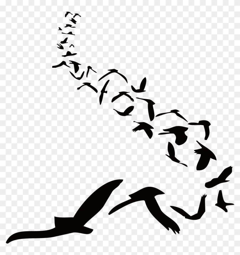 Wall Sticker Bird - Wall Sticker Bird #335099