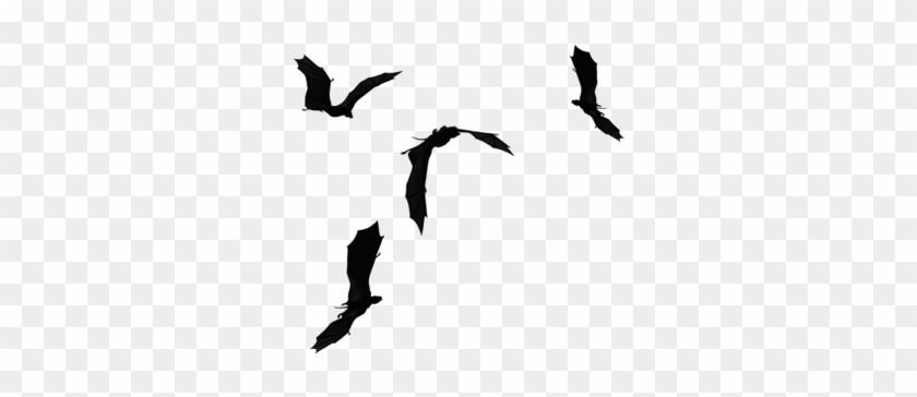 Flying Away Birds Silhouette Download - Silhouette Of Flying Dragons #335183