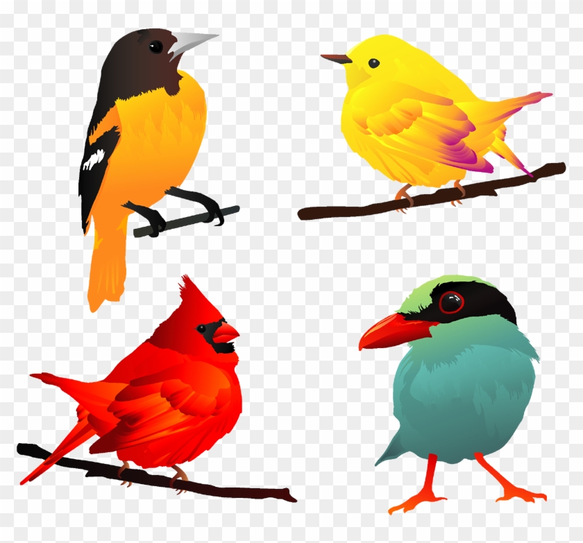 Beautiful Birds Clip Art #335261