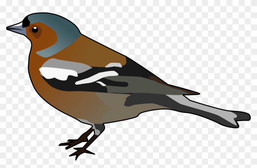 Big Image - Chaffinch Clipart #335271