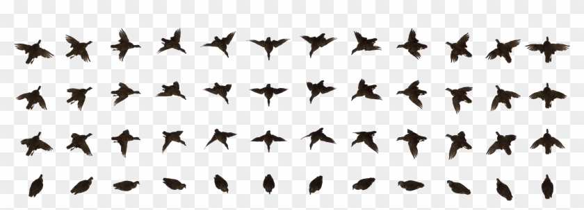 Dead Bird - Flying Bird Animation Png #335543