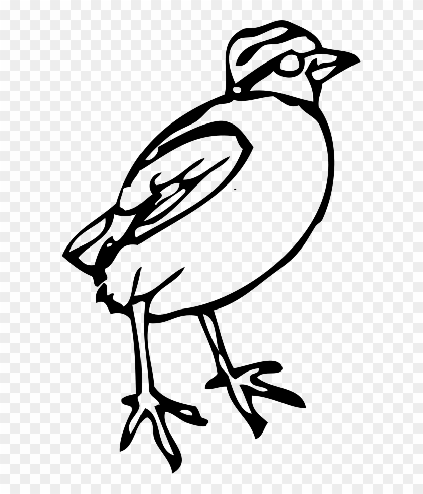 Bulbul Clipart Maya Bird - Bird Clipart #335744