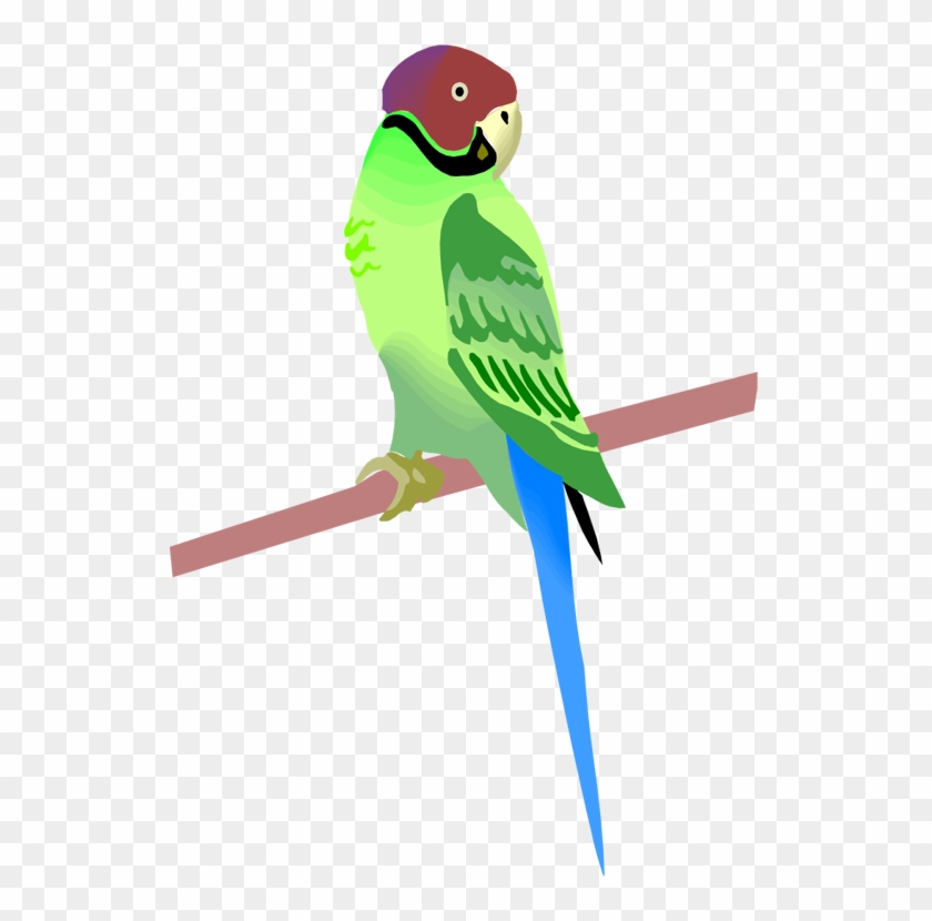 Free - Clip Art #335829