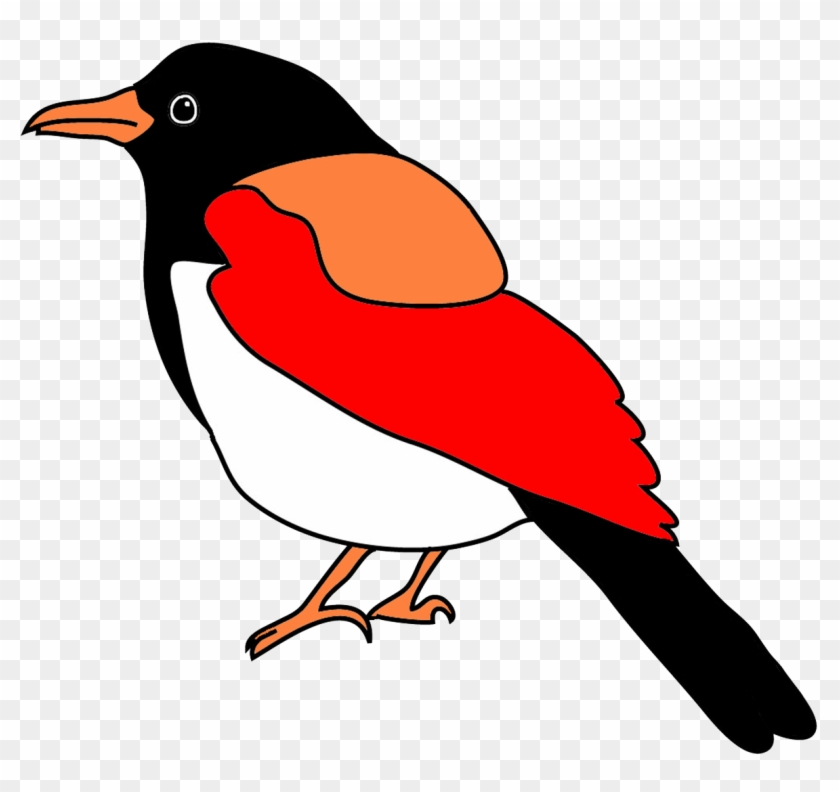 Bird Drawing With Many Colors - Clip Art Colorful Birds #335895