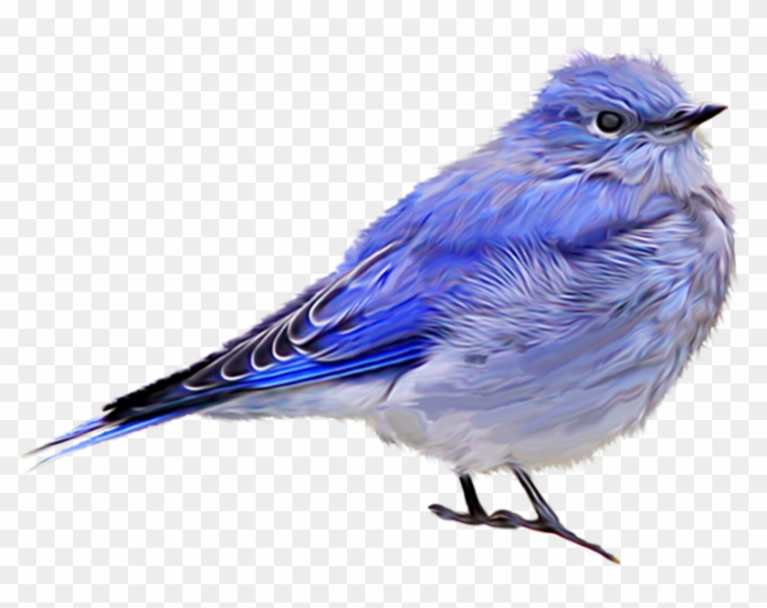 Bird Sparrow Clip Art - Bird Sparrow Clip Art #336086