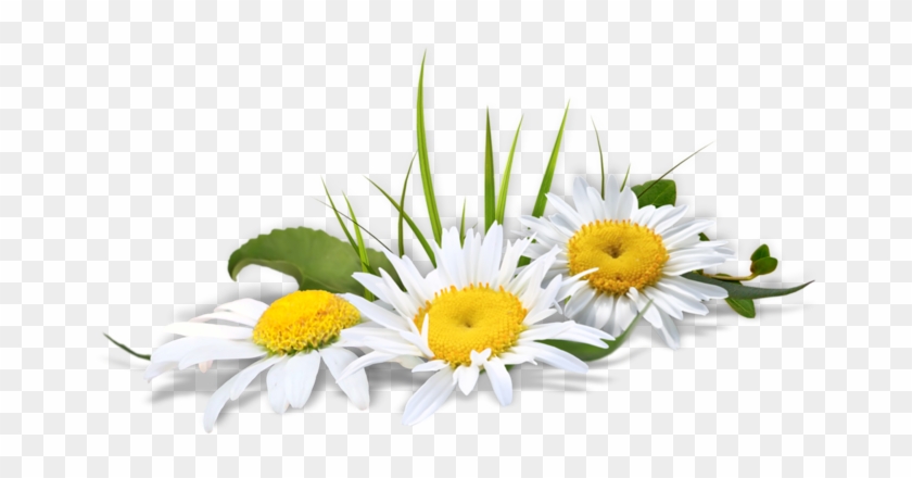 Tubes Fleurs Des Champs - Ramo De Flores Em Png #336026