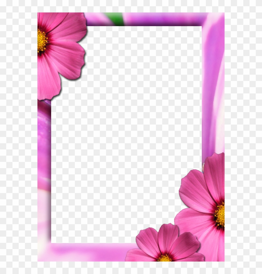 Pin Bunga Png Hawaii Dermatology On Pinterest - Picture Frame #336080