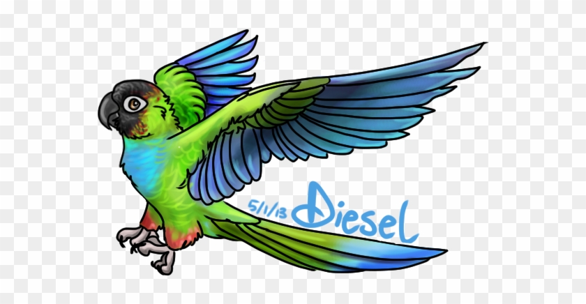 [ Img] - Blue Throated Conure Art #336168