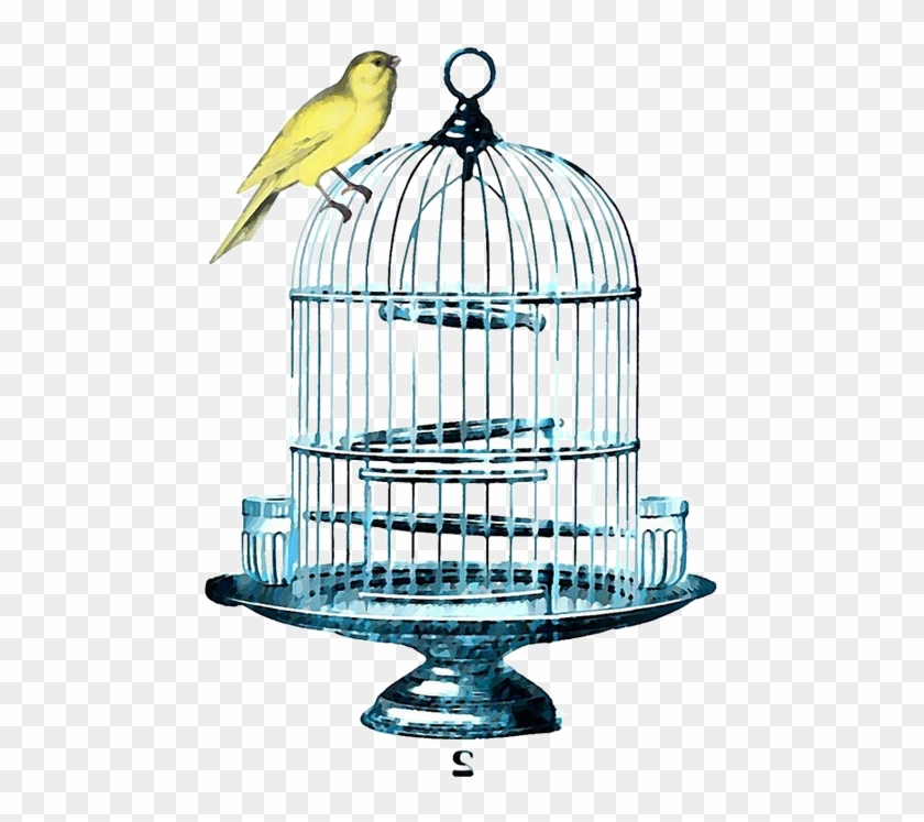 Image Image Image Image Image Image Image Image Image - Gorgeous Vintage Canary Illustration Canvas Tote -- #336201