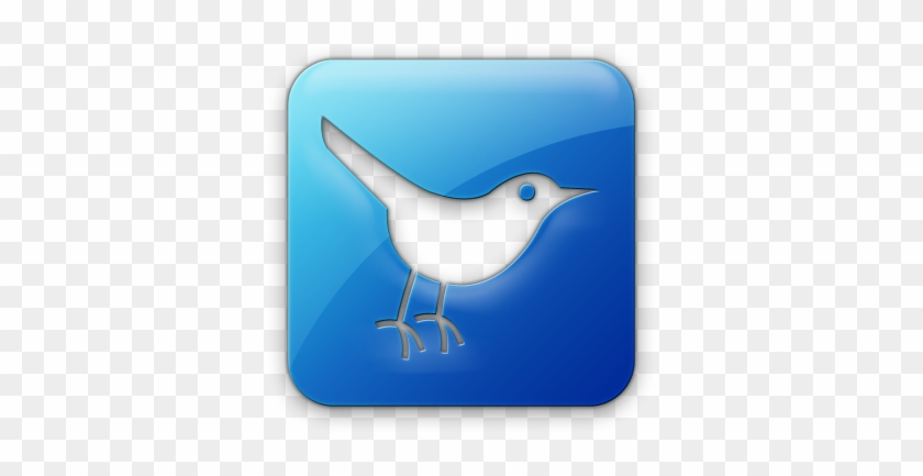 Voting Information And Ballot Initiative Info - Twitter Icon #336290