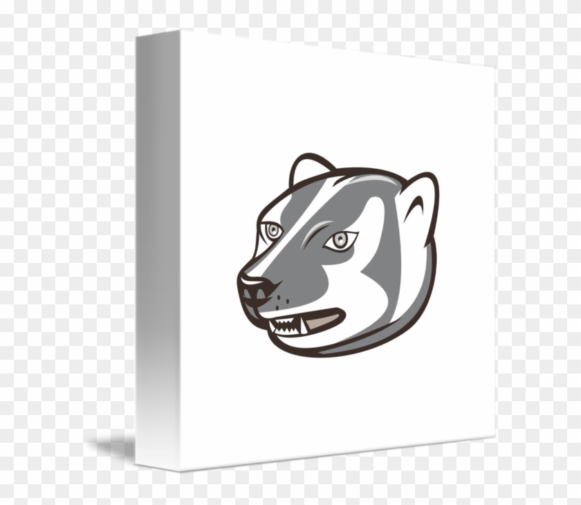 Kishu #337235