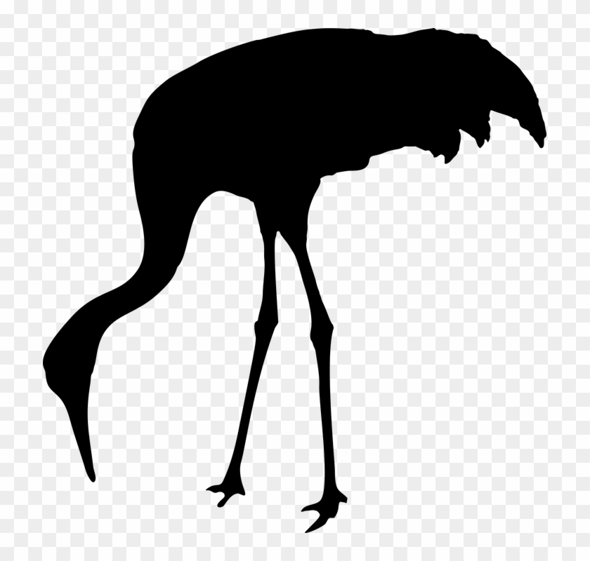 Seagull Stencil - Sandhill Crane Silhouette #341009