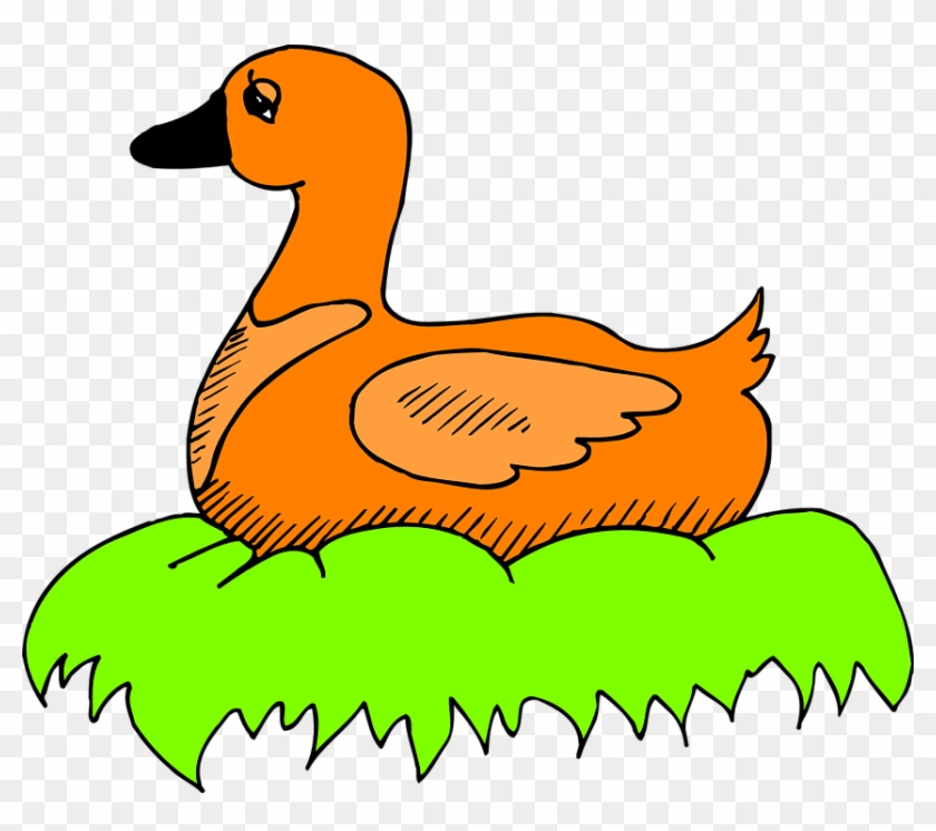 Nest Green, Orange, Bird, Duck, Color, Art, Sitting, - Duck On A Nest Cartoon #341088