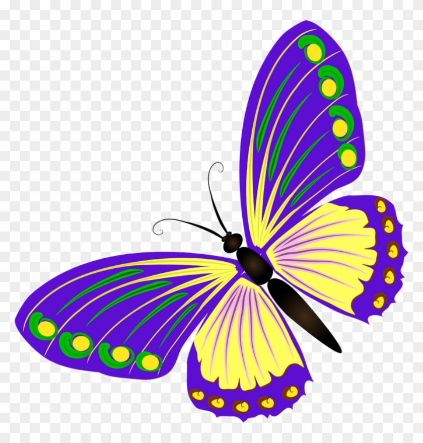 ‿✿⁀butterflies‿✿⁀ - Clip Art #342641