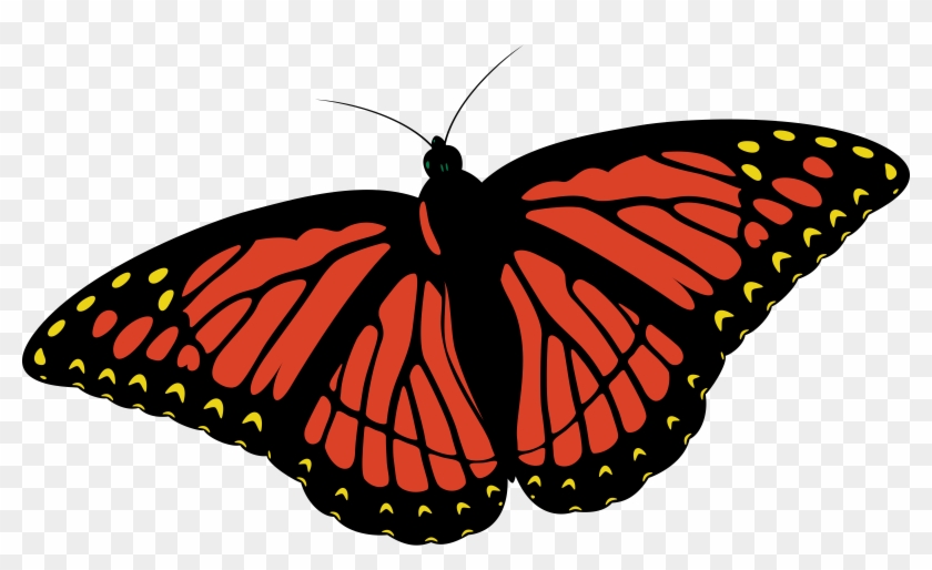 Monarch Butterfly - Blue Butterfly Design Shower Curtain #342684