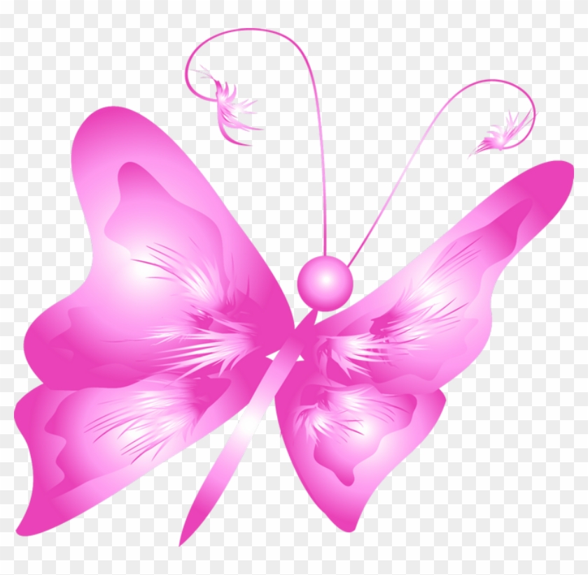 0 D1f1c 4cf50bcb Orig - Clip Art #342736