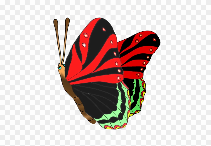 Colorful Butterflies Clipart - Butterfly #342949