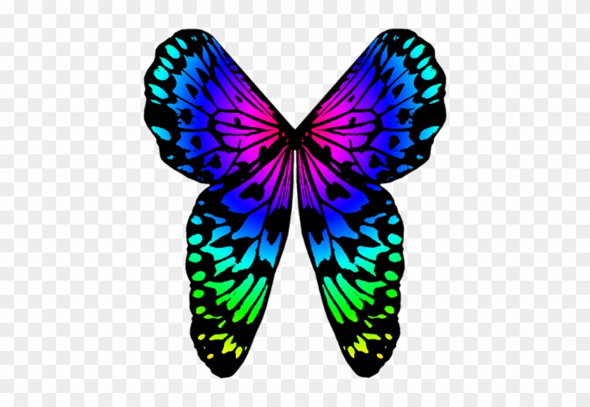 Wings Rainbow By Clipartcotttage - Clip Art #342997