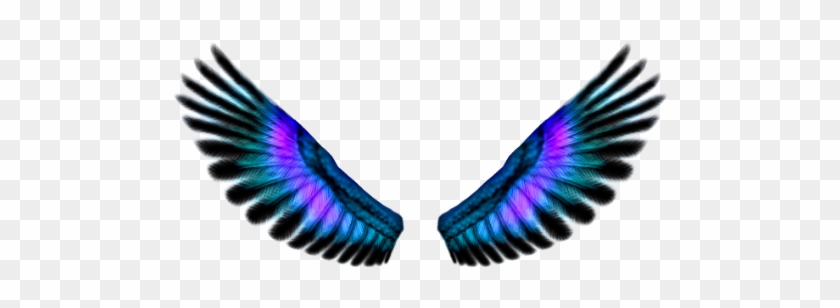 Fairy Wings Png - Background Sayap Png #343062