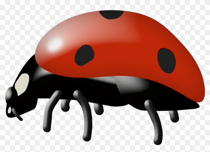 Insect Ladybird Cartoon Clip Art - Insect Ladybird Cartoon Clip Art #344329