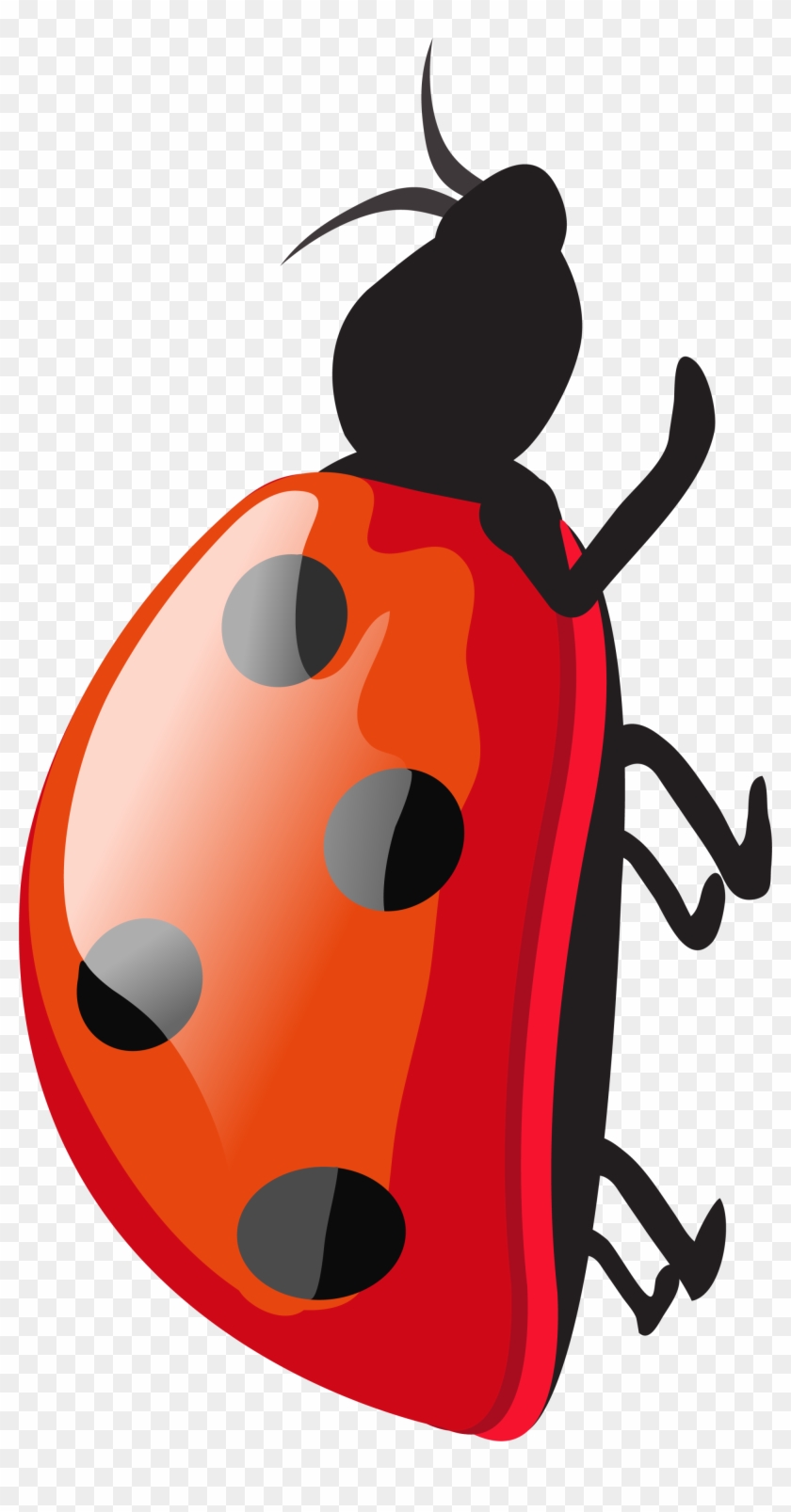 Ladybird Red Cartoon - Ladybird Red Cartoon #344748