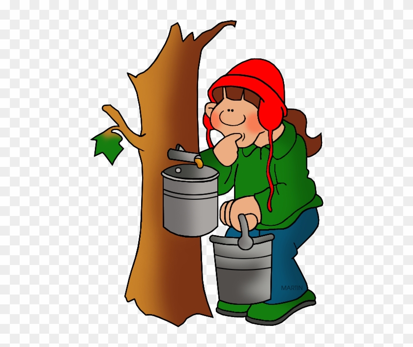 United States Clip Art By Phillip Martin, West Virginia - West Virginia State Tree #345092
