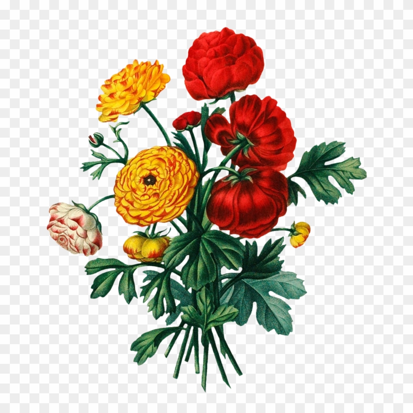 Floral Design Flower Bouquet Botany Clip Art - Floral Design Flower Bouquet Botany Clip Art #346777