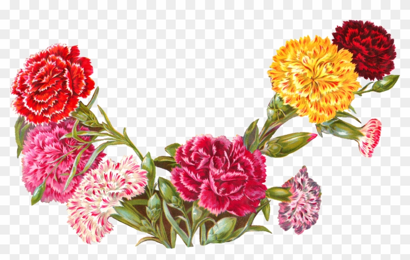 And The Shape Of The Flower Image Makes It A Perfect - Clip Art Carnation Illustration #347462