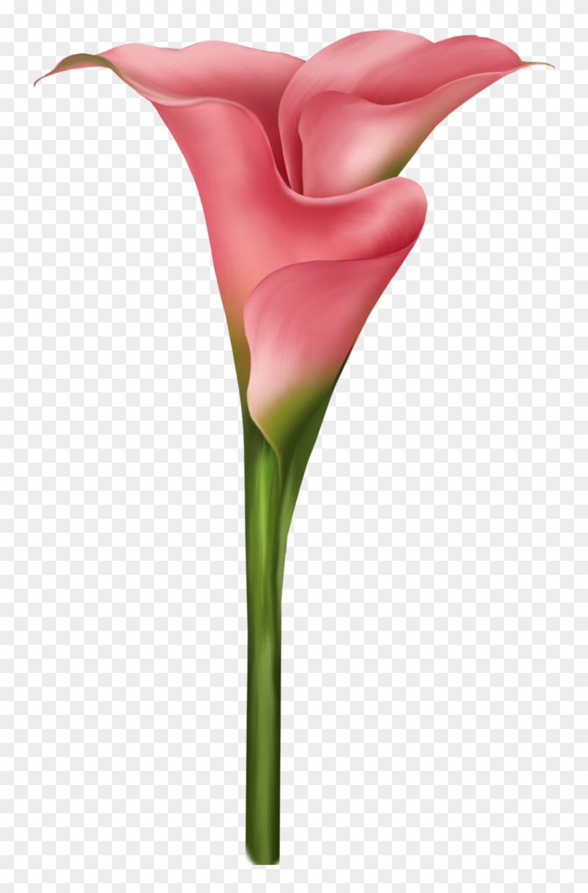 Flower Watercolor Painting Petal Clip Art - Watercolor Painting #347535
