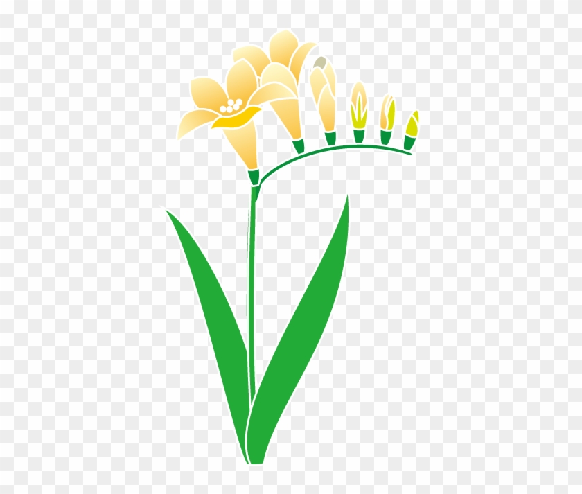 春の花3 22 フリージアイラスト - 春の花3 22 フリージアイラスト #347593