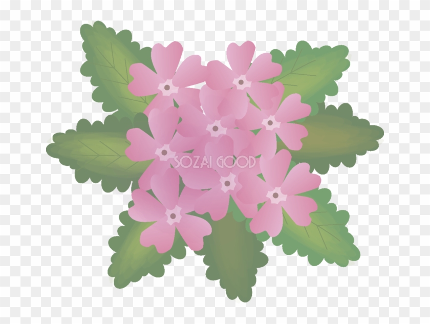 桜草 【花の無料イラスト】春(4月)66935 - Primula Sieboldii #347638