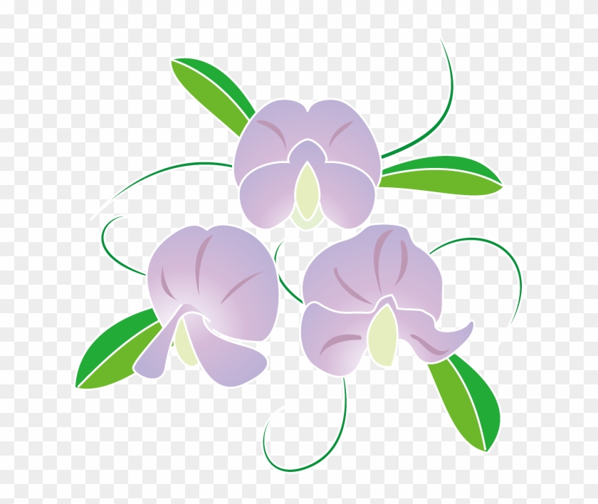 春の花2 06 スイートピーイラスト - Sweet Pea #347651