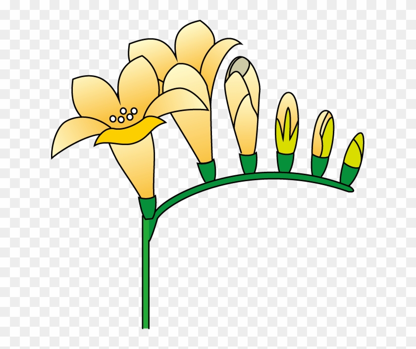 春の花3 21 フリージアイラスト - Illustration #347669