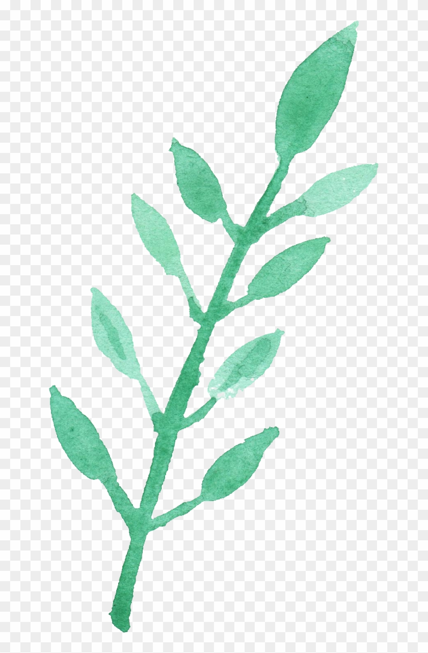 Free Download - Twig #348066