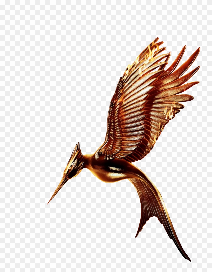 Agreeable Hunger Games Clip Art Medium Size - Hunger Games Logo #348928