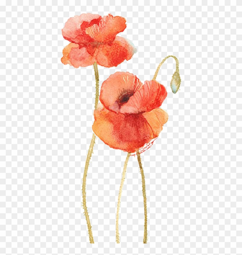 Flower Watercolor Painting Illustration - Flower Watercolor Painting Illustration #349089
