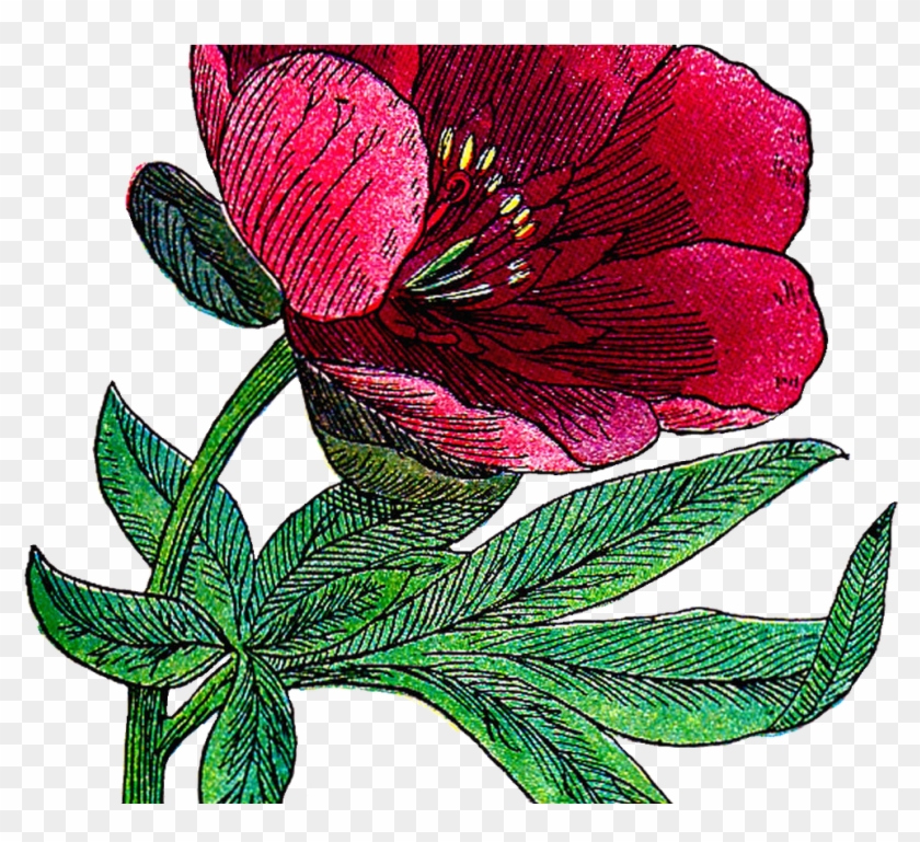Free Flower Clip Art - Clip Art #349231
