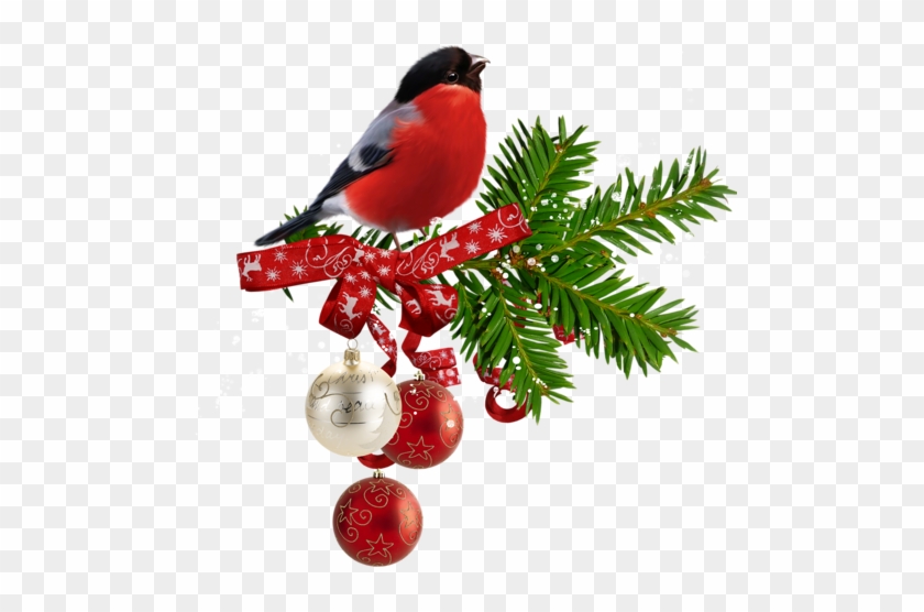 Christmas Clip Art - Christmas Clip Art #349391