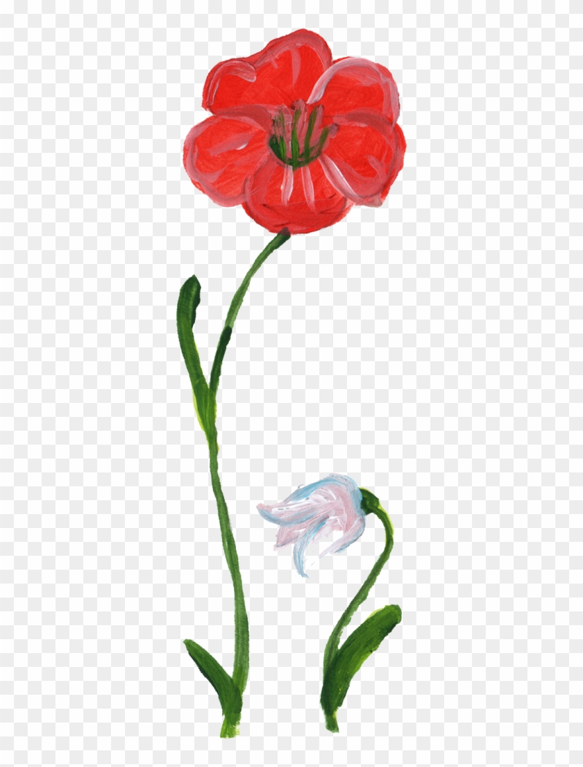 453 × 1389 Px - Rose #349843