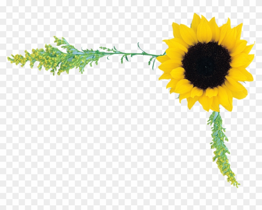 Now You Can Use Cliparts And Objects Direct In Psd - Psd #350339