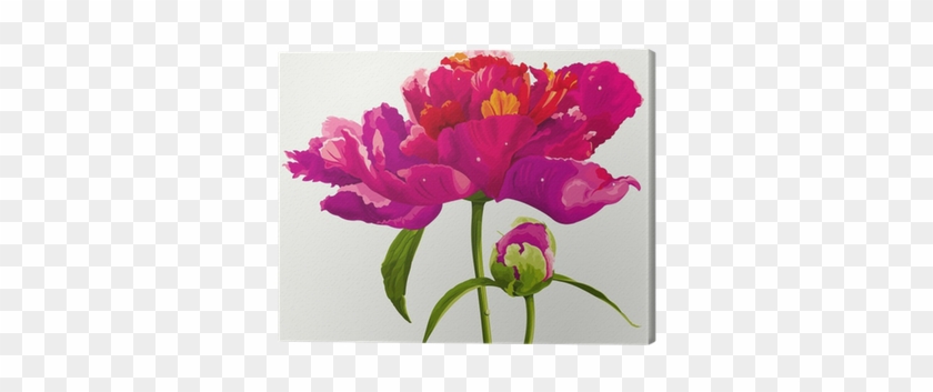 De Rerum Natura Red & Fuchsia Floral Wallpaper, #350538