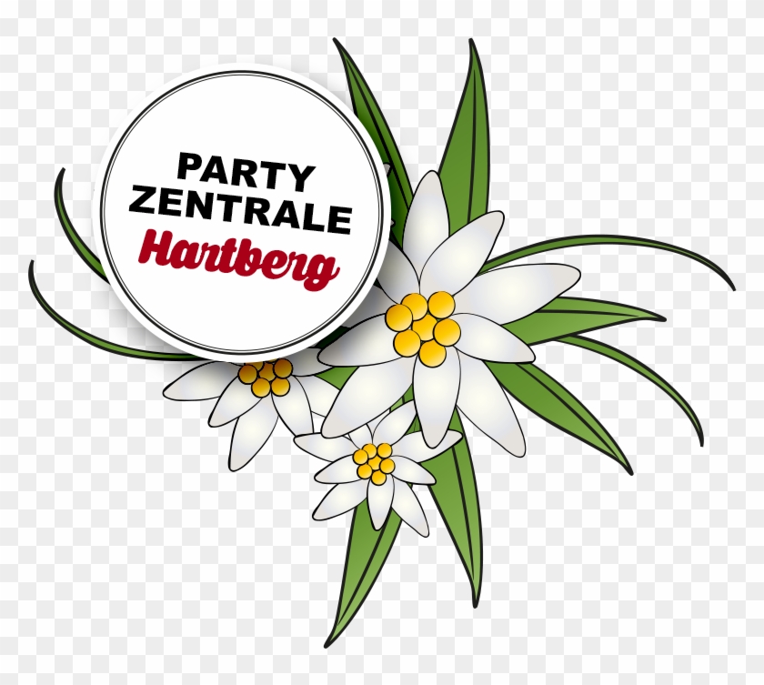 Partyalm #351639