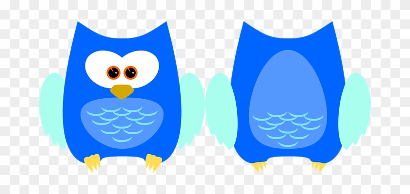Owl Bird Animal Plumage Cute Feather Birds - รูป นก ฮูก การ์ตูน น่า รัก #352271