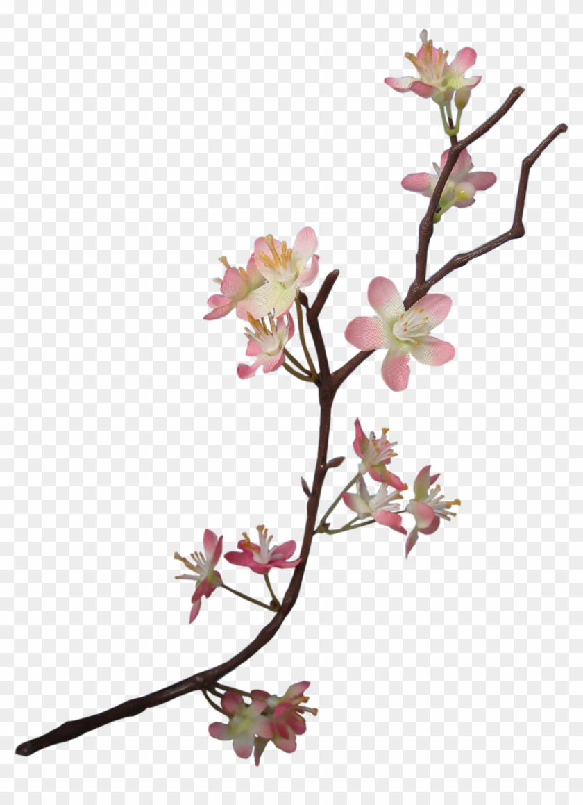Flower Paper Floral Design Embellishment Scrapbooking - Flower Paper Floral Design Embellishment Scrapbooking #352395