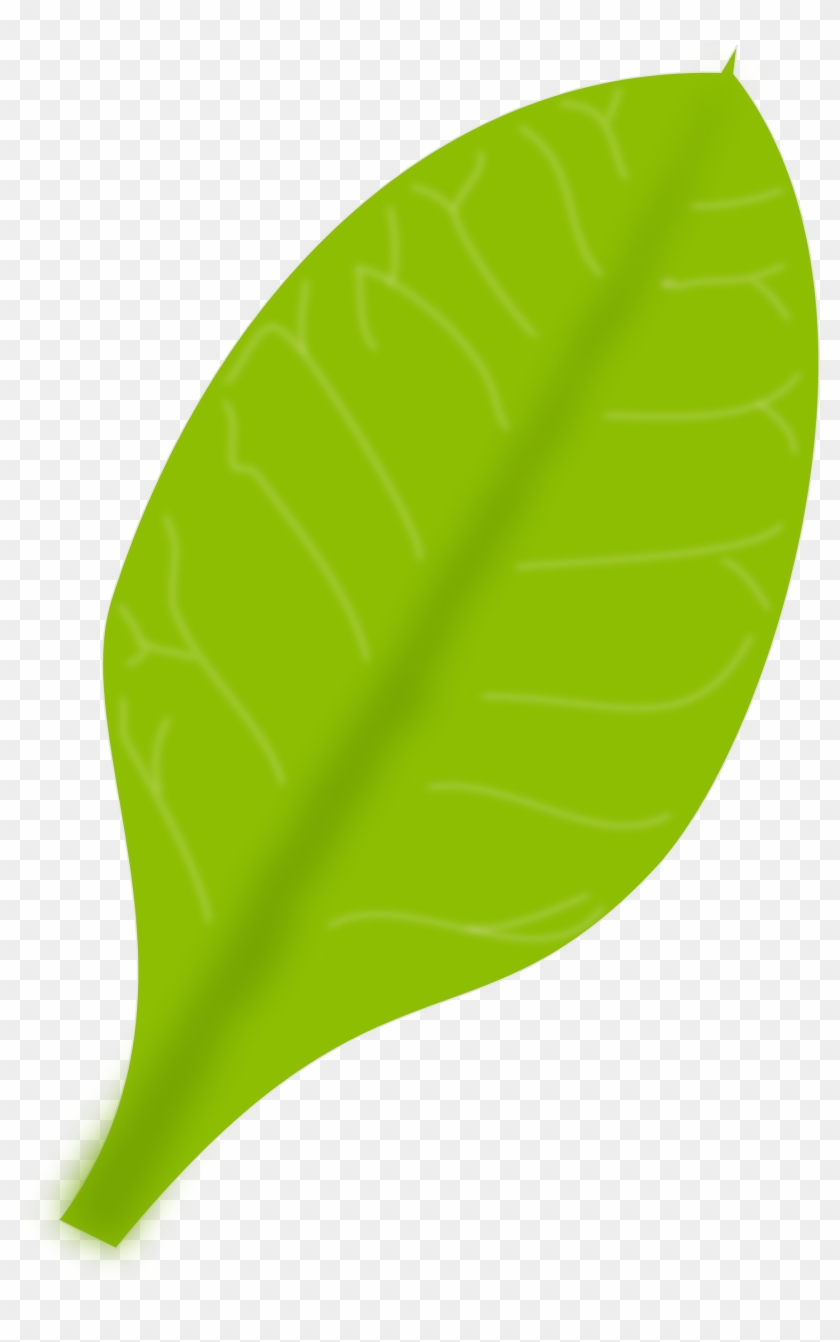 Similar Clip Art - Stock.xchng #352445