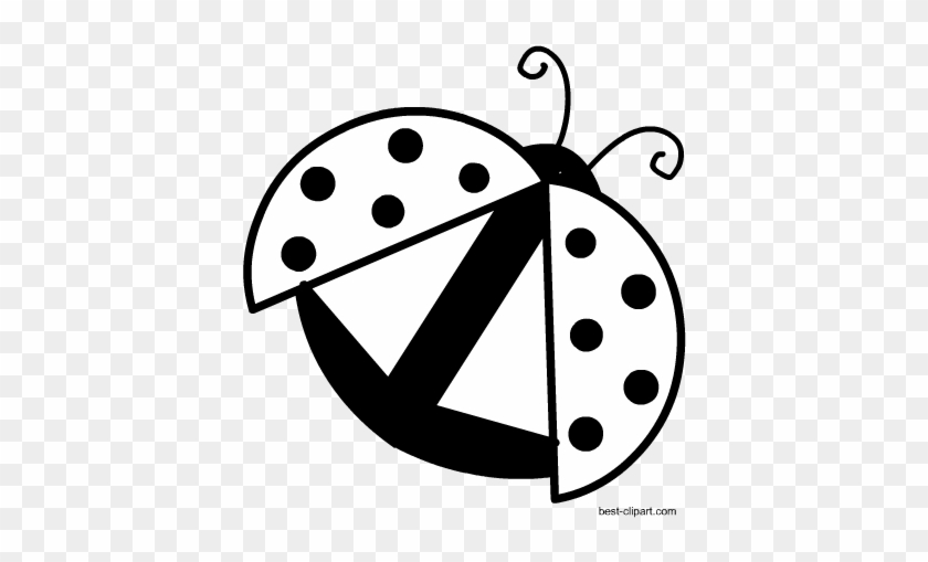 Black And White Image Of A Ladybug Ready To Fly, Free - White #354048